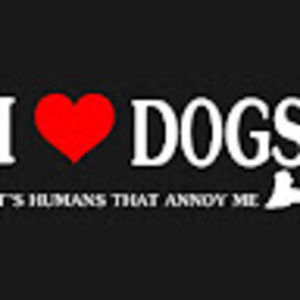 Meet your Posher, Lee